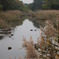野鳥公園の朝