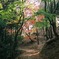 古道
