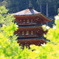2014春の長谷寺07