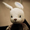 rabbit