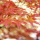 じ2009