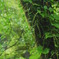 避2009