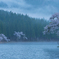 朝霧の桜湖