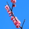空に向かって