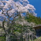 墓守の春