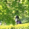 新緑の中を