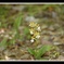 DSC_3322.2014.5.11