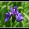 DSC_3334.2014.5.11