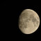 DSC_2373-R-0