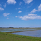 青空と水田