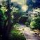 Green 01