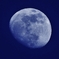 Blue Moon.