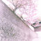 桜、散る頃