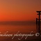 Aflânio Tomikawa photographer © 2014 富川5