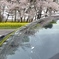 春よありがとう