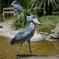 zoo5