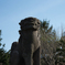 神社のわんこ
