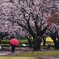 雨やんだよ