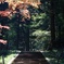 山道