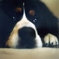 また日向ぼっこしようね