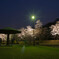 夜桜の丘