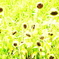 今年の夏も終わりだね