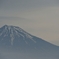 Nikon　D4  ７０－２００ｍｍVRⅡ　200mm