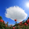 ５月の空