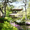 慈照寺の庭園