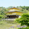 新緑の鹿苑寺