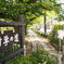 哲学の道