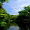 明石公園2014春