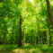 Green Green