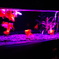 DSC01848