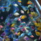 DSC01967