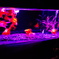 DSC01850
