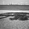 Shadow and Sea