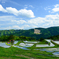 別宮の棚田