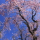 空に向かって
