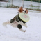 雪中ディスク♪