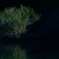 Green Imagination