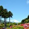 箱根・山の上ホテルのつつじ