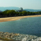 初夏の匂い