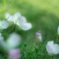 Lomography Petzval Art Lens