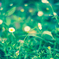 Lomography Petzval Art Lens