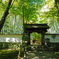 新緑の京都- 1