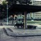 懐かしい光景