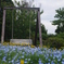伊豆四季の花公園4