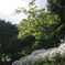 伊豆四季の花公園6