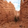 Switchback by Bryce Canyon